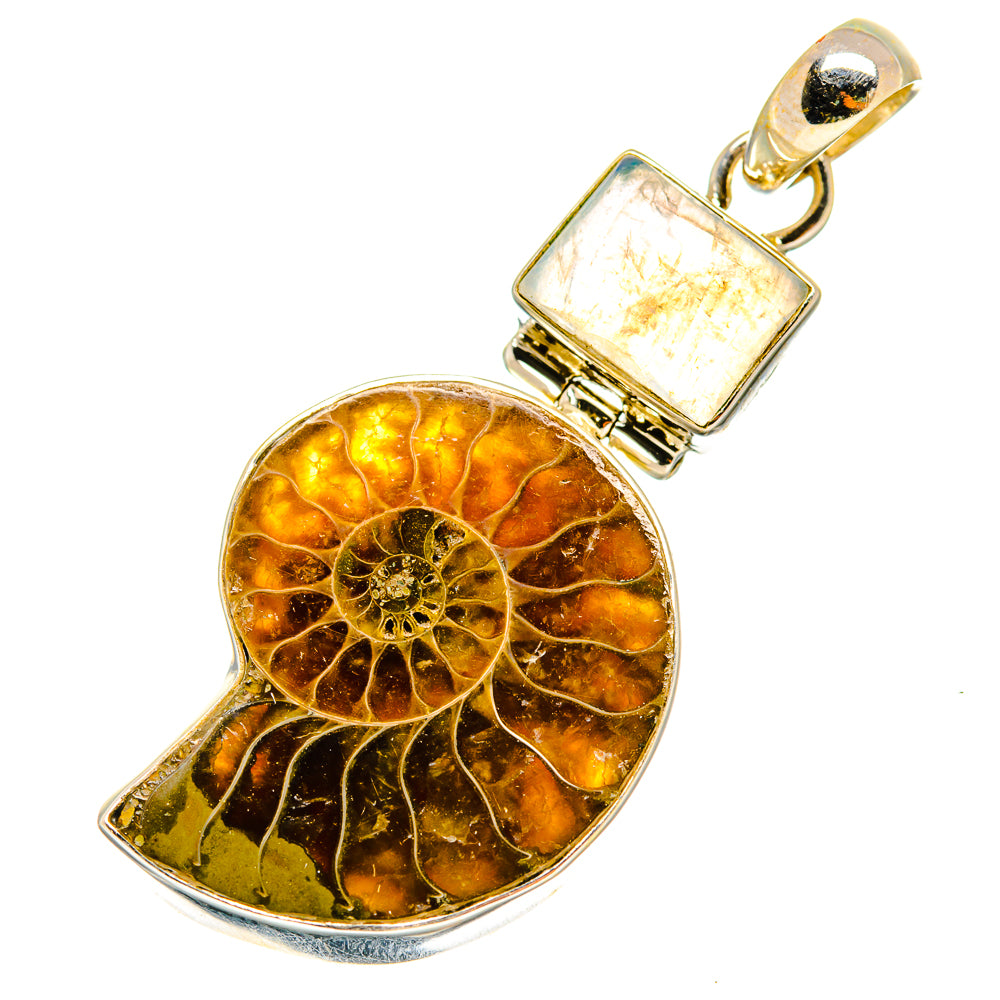 Ammonite Fossil Pendants handcrafted by Ana Silver Co - PD8830