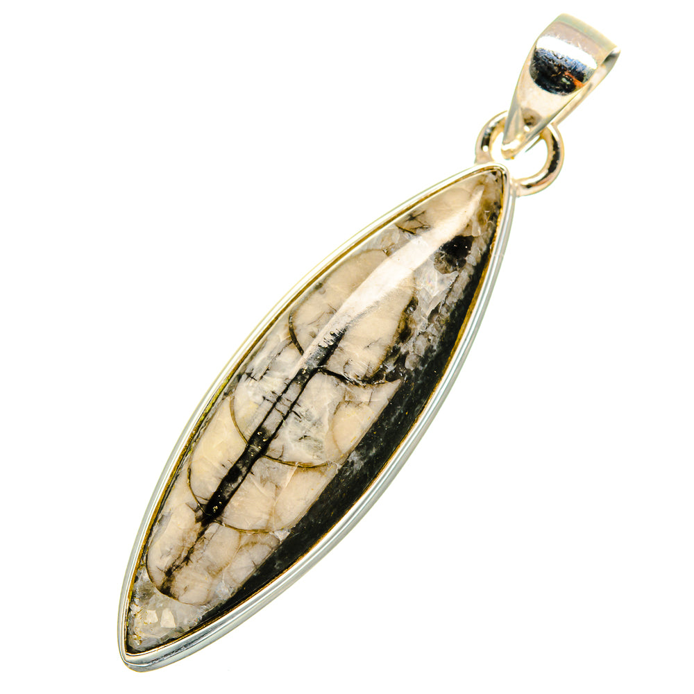 Orthoceras Fossil Pendants handcrafted by Ana Silver Co - PD8936
