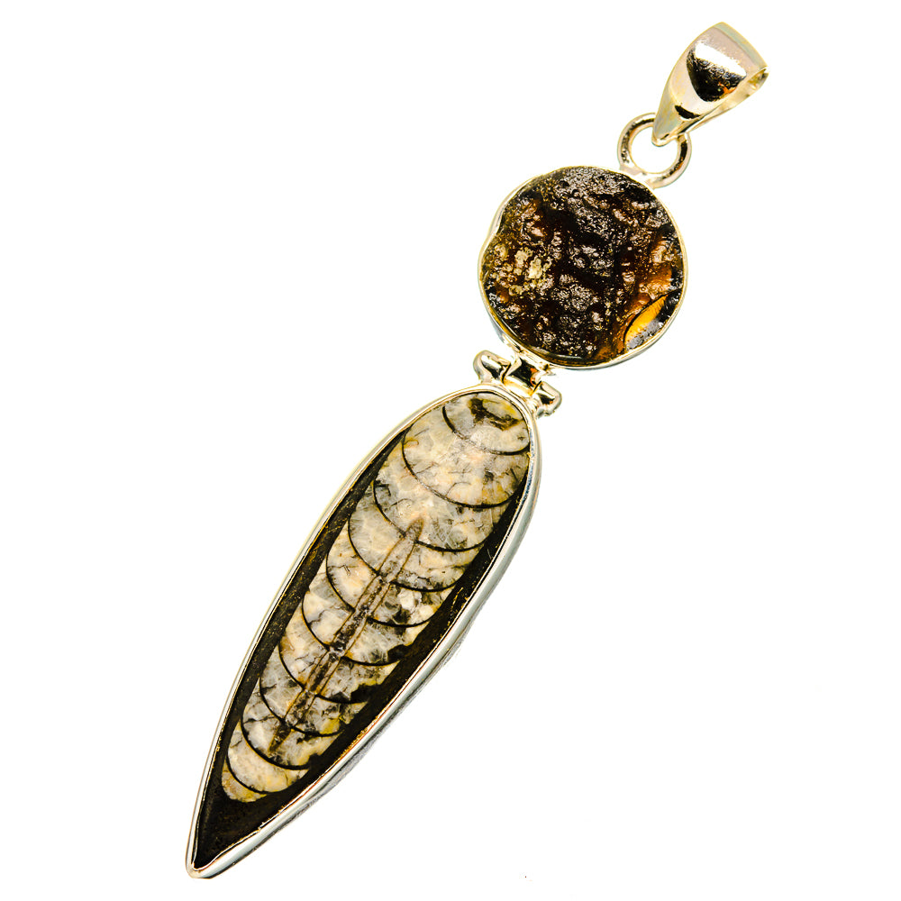 Orthoceras Fossil Pendants handcrafted by Ana Silver Co - PD8937