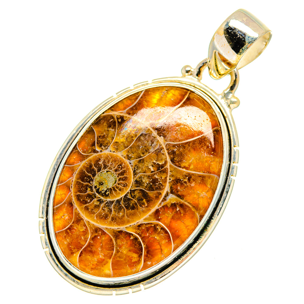 Ammonite Fossil Pendants handcrafted by Ana Silver Co - PD9117