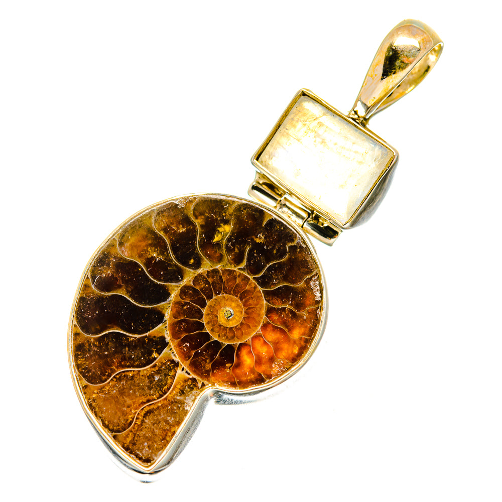 Ammonite Fossil Pendants handcrafted by Ana Silver Co - PD9118