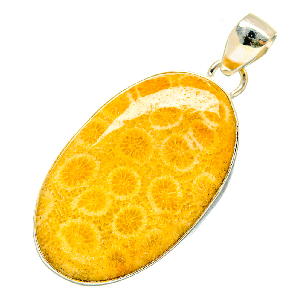 Fossil Coral Pendants handcrafted by Ana Silver Co - PD9236