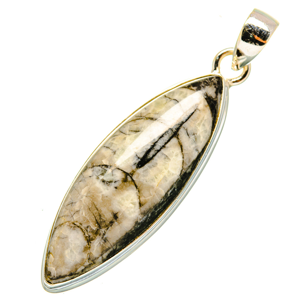 Orthoceras Fossil Pendants handcrafted by Ana Silver Co - PD9299