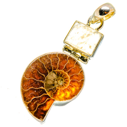 Ammonite Fossil, Rainbow Moonstone Pendants handcrafted by Ana Silver Co - PD9319