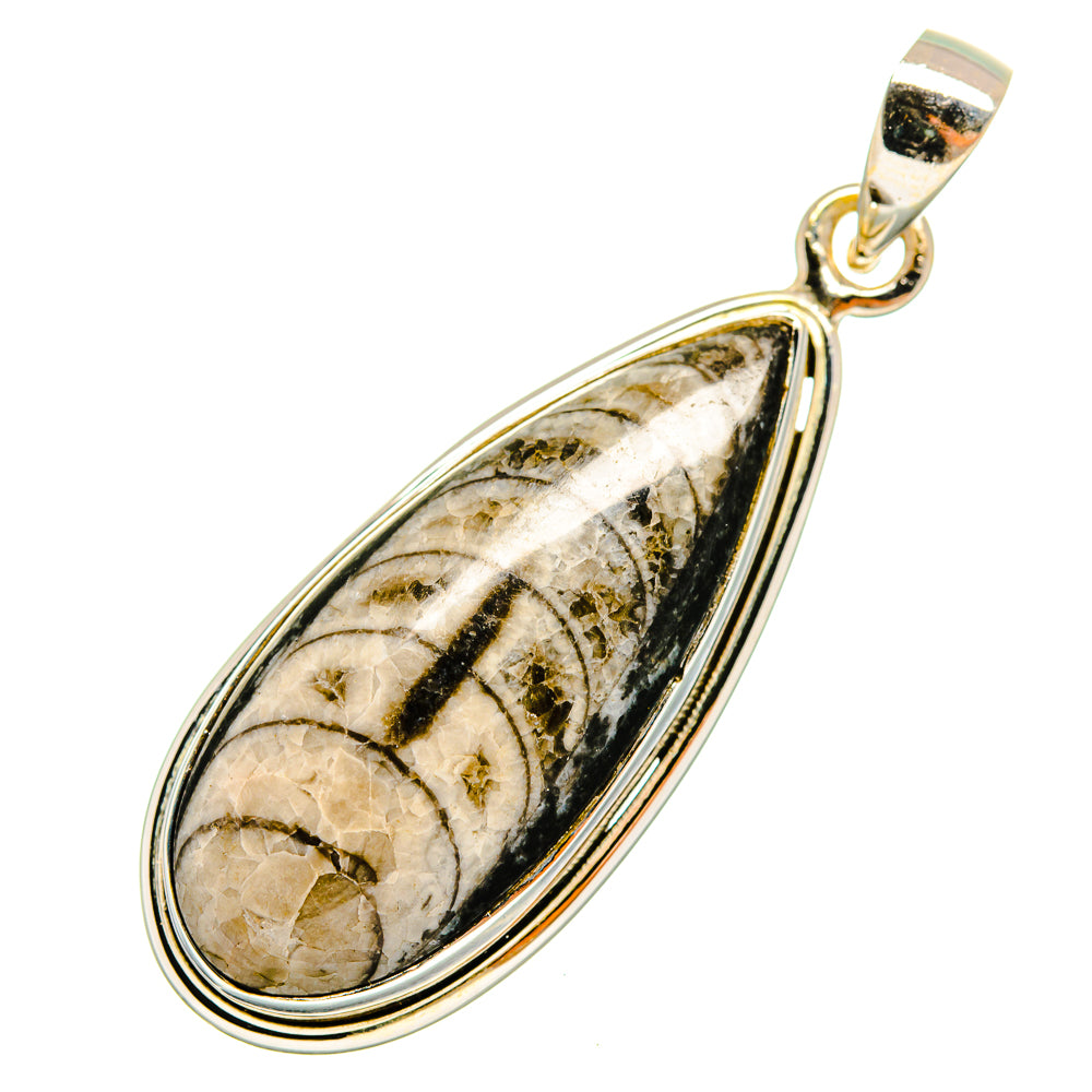 Orthoceras Fossil Pendants handcrafted by Ana Silver Co - PD9576