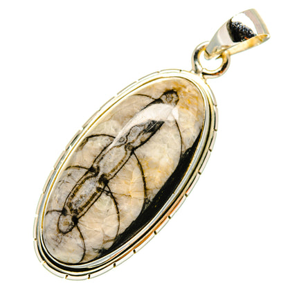 Orthoceras Fossil Pendants handcrafted by Ana Silver Co - PD9642