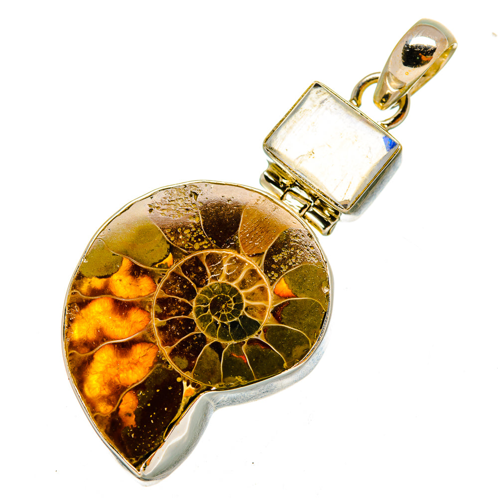 Ammonite Fossil Pendants handcrafted by Ana Silver Co - PD9926