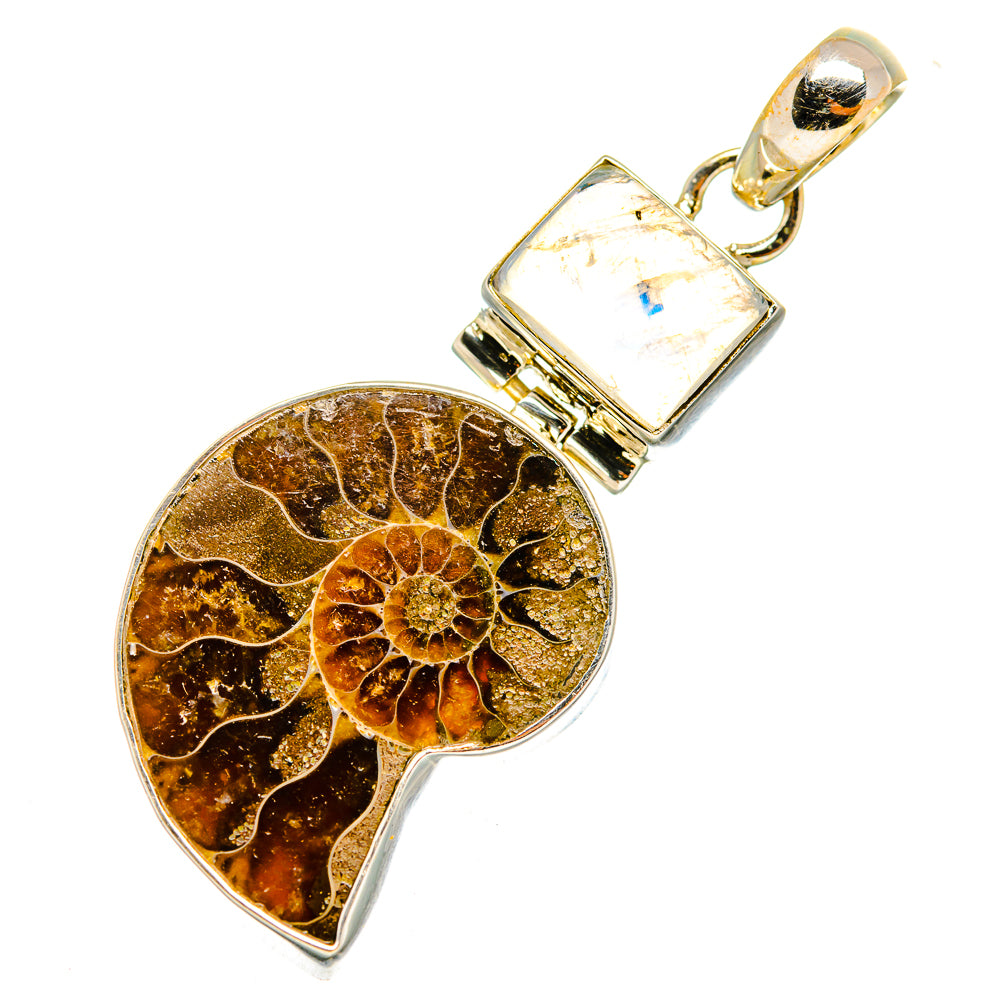 Ammonite Fossil Pendants handcrafted by Ana Silver Co - PD9997