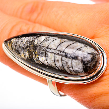 Sterling silver orthoceras fossil oval ring, black-and-white segmented pattern