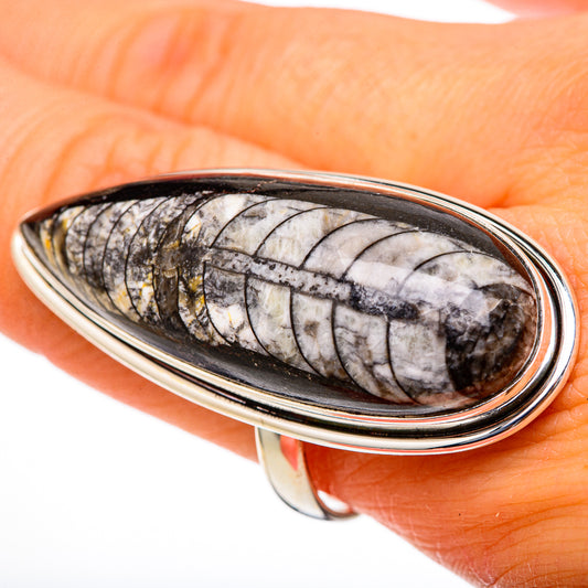 Orthoceras Fossil Rings handcrafted by Ana Silver Co - RING101830
