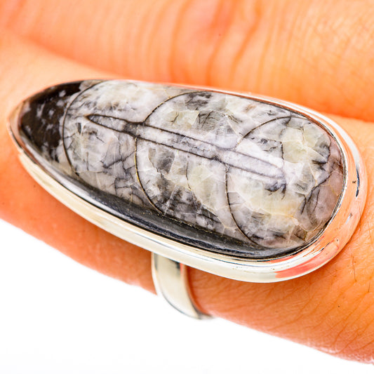 Orthoceras Fossil Rings handcrafted by Ana Silver Co - RING101864