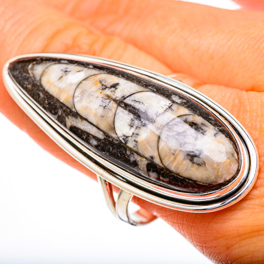 Orthoceras Fossil Rings handcrafted by Ana Silver Co - RING102127