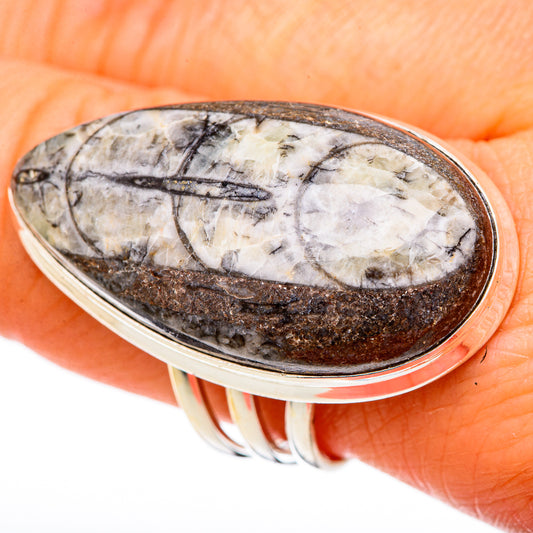 Orthoceras Fossil Rings handcrafted by Ana Silver Co - RING102165