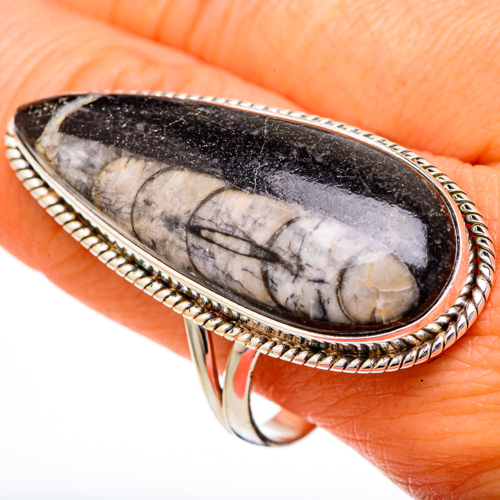 Oval orthoceras fossil stone ring in 925 sterling silver with rope border, close-up