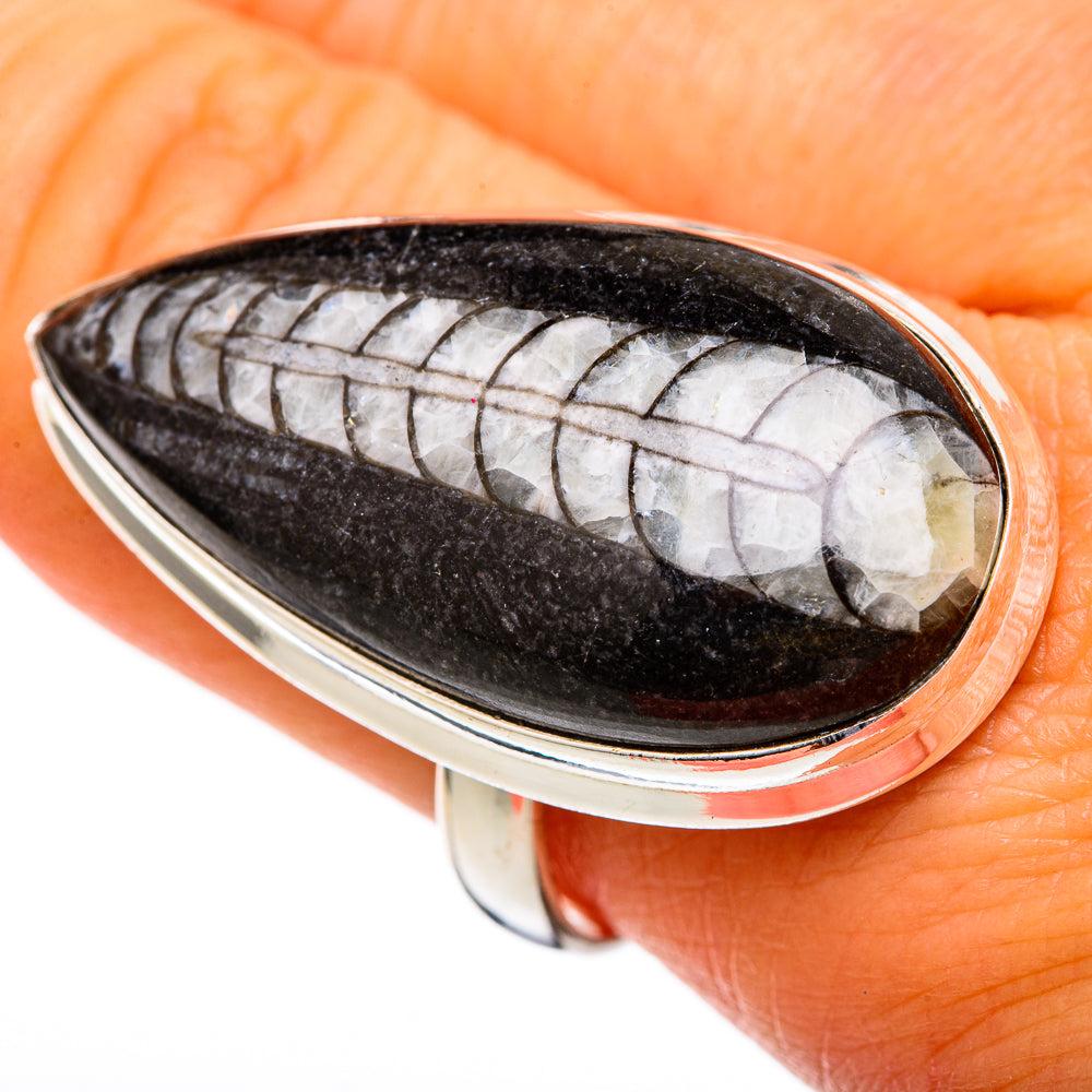 Orthoceras Fossil Rings handcrafted by Ana Silver Co - RING102759