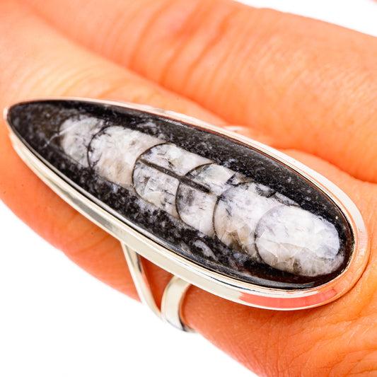 Orthoceras Fossil Rings handcrafted by Ana Silver Co - RING102840
