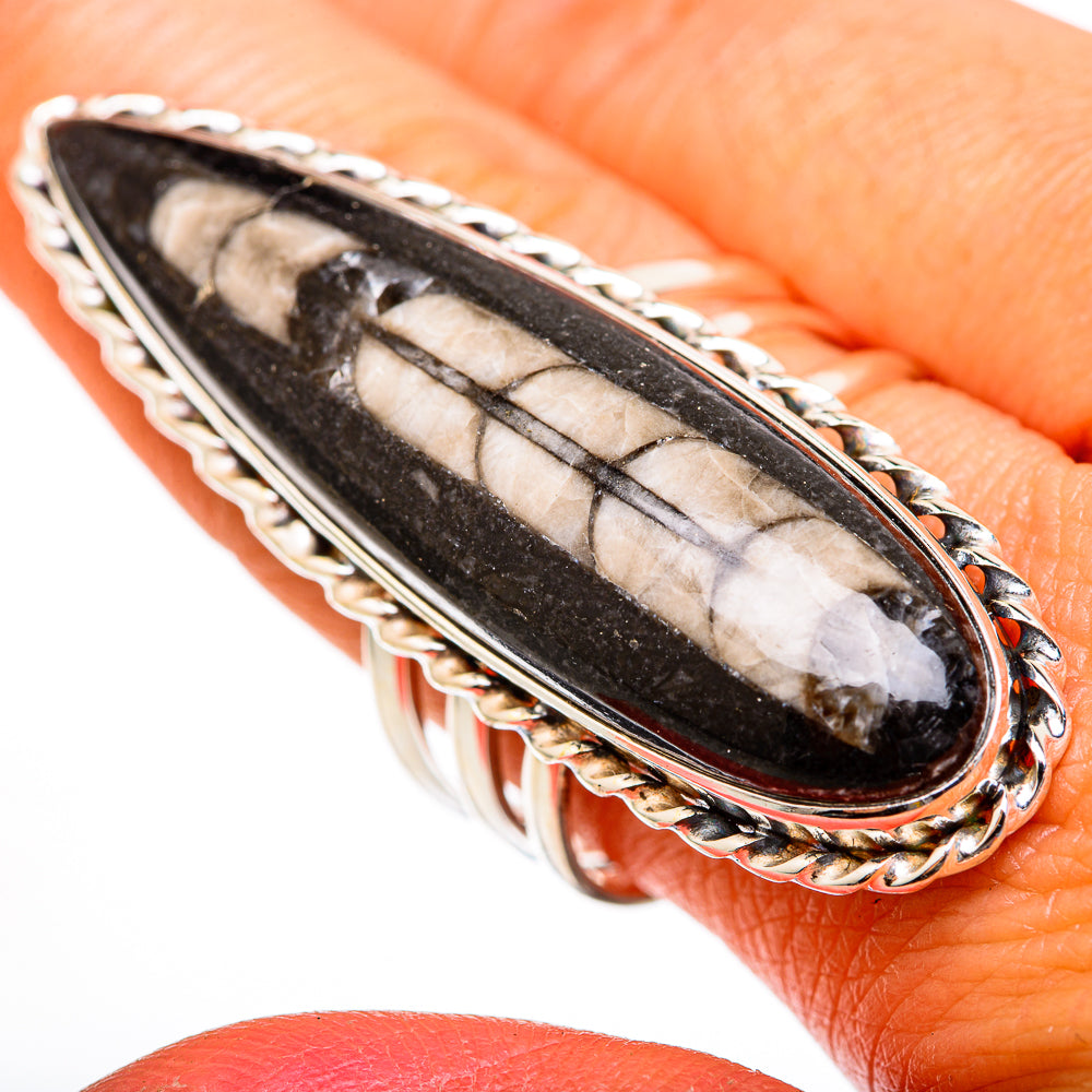 Orthoceras Fossil Rings handcrafted by Ana Silver Co - RING103088