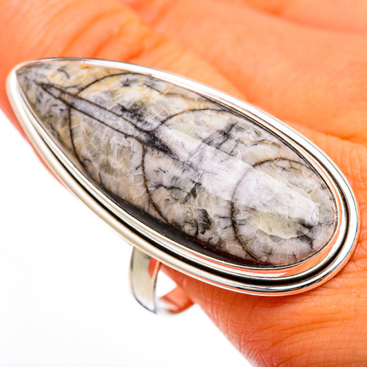Orthoceras Fossil Rings handcrafted by Ana Silver Co - RING103421