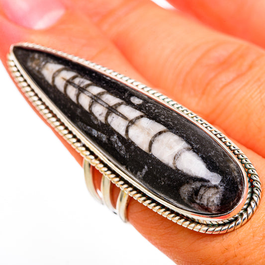 Orthoceras Fossil Rings handcrafted by Ana Silver Co - RING103423