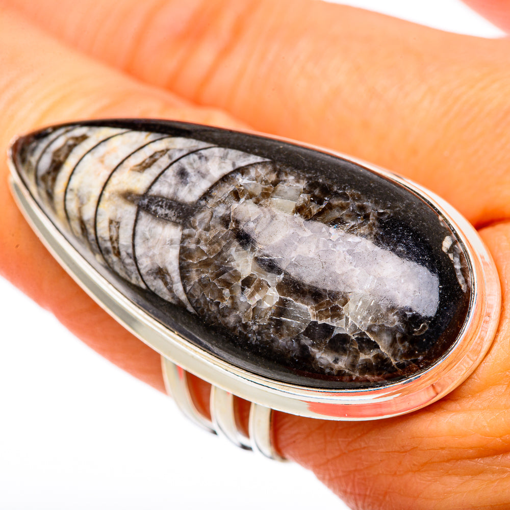 Orthoceras Fossil Rings handcrafted by Ana Silver Co - RING103680