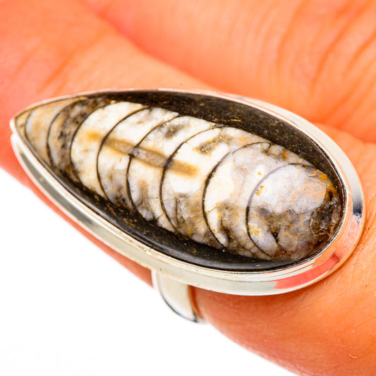 Orthoceras Fossil Rings handcrafted by Ana Silver Co - RING103740