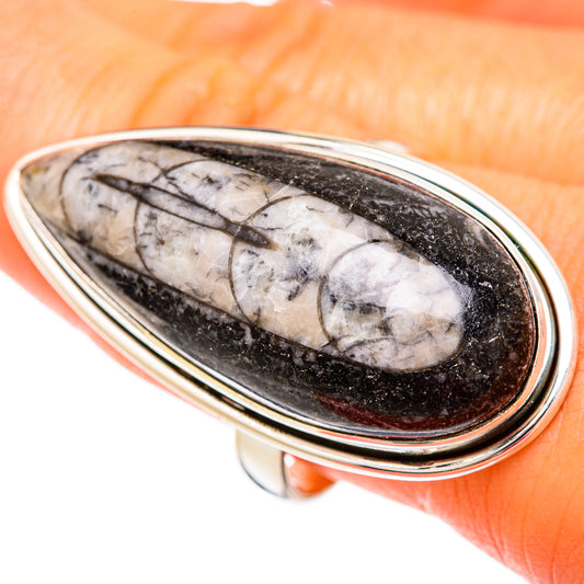 Orthoceras Fossil Rings handcrafted by Ana Silver Co - RING103884