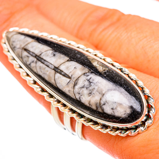 Orthoceras Fossil Rings handcrafted by Ana Silver Co - RING103929