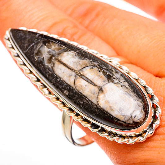 Orthoceras Fossil Rings handcrafted by Ana Silver Co - RING103959