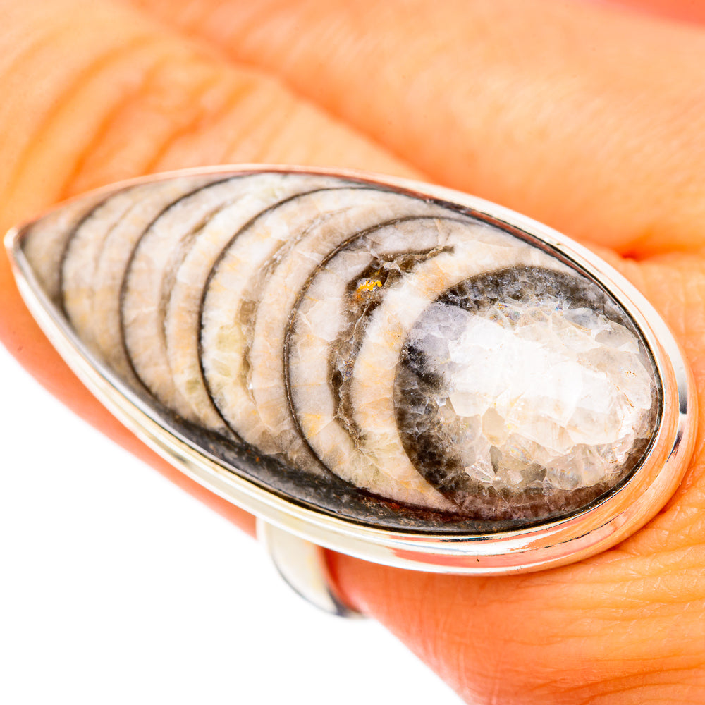 Orthoceras Fossil Rings handcrafted by Ana Silver Co - RING104007