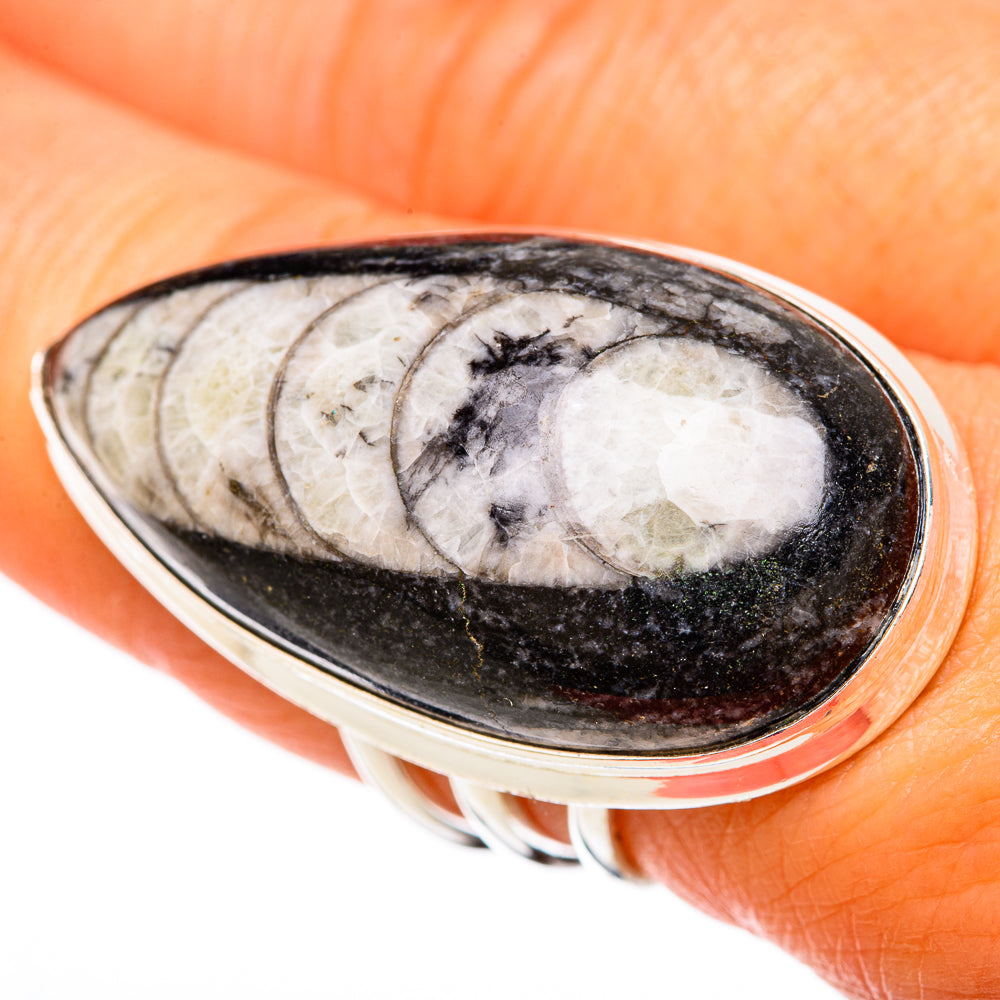 Oval Orthoceras fossil inlay ring with silver-tone bezel, size 8.25