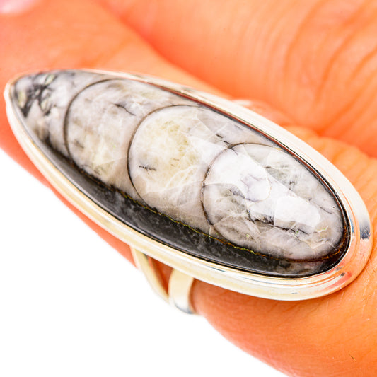 Orthoceras Fossil Rings handcrafted by Ana Silver Co - RING104043
