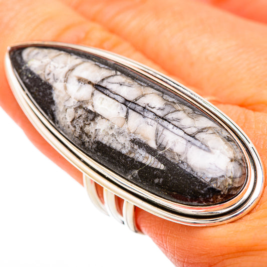 Orthoceras Fossil Rings handcrafted by Ana Silver Co - RING104059