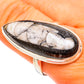 Orthoceras Fossil Rings handcrafted by Ana Silver Co - RING104075