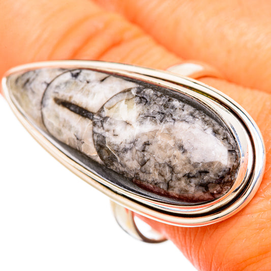 Orthoceras Fossil Rings handcrafted by Ana Silver Co - RING104076