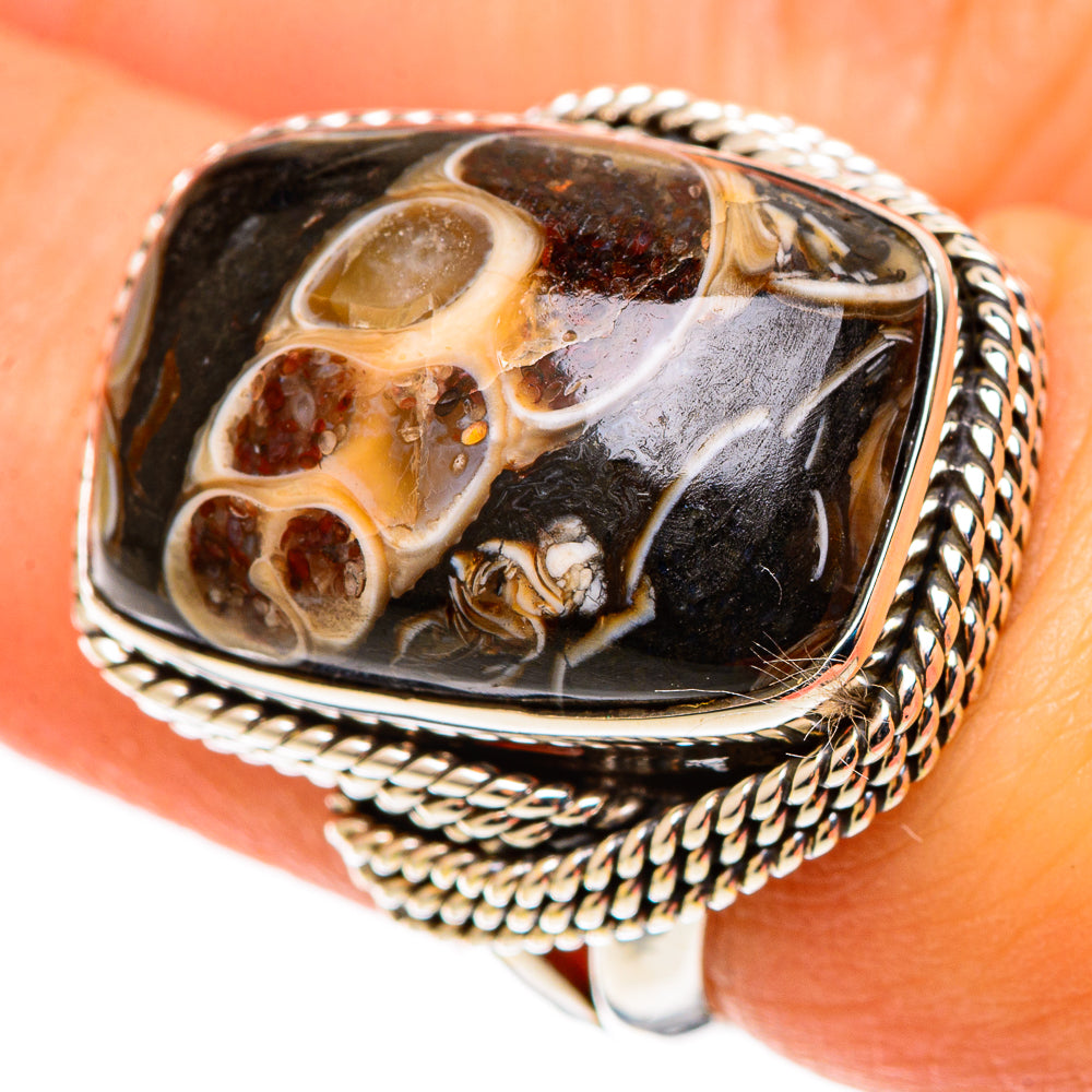 Turritella Agate Rings handcrafted by Ana Silver Co - RING109030