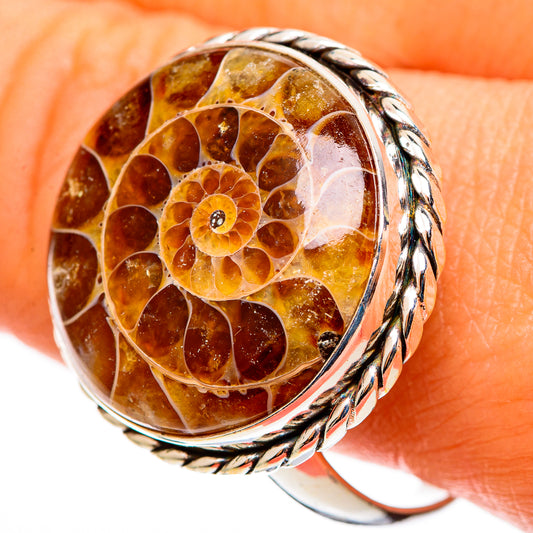 Ammonite Fossil Rings handcrafted by Ana Silver Co - RING109150