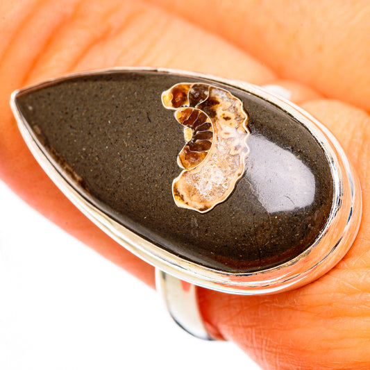 Turritella Agate Rings handcrafted by Ana Silver Co - RING110748