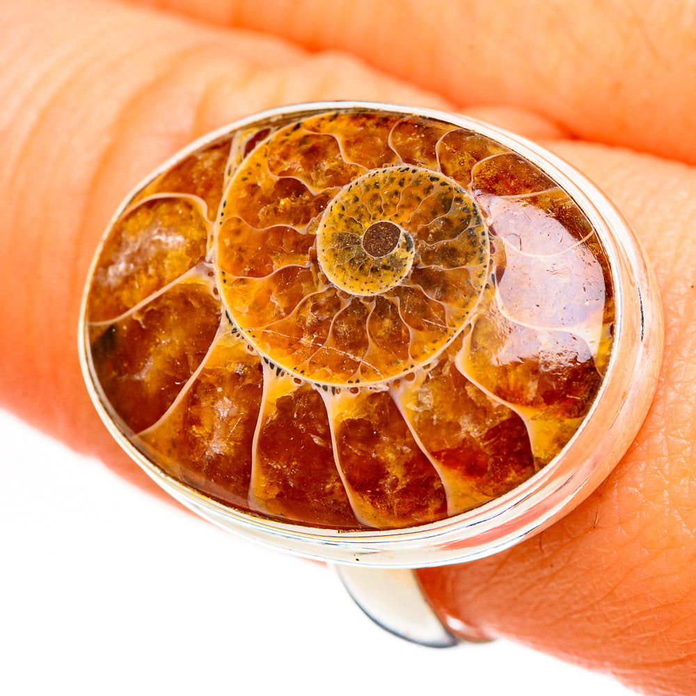 Ammonite Fossil Rings handcrafted by Ana Silver Co - RING111142