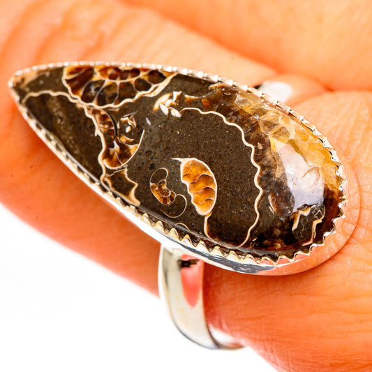 Turritella Agate Rings handcrafted by Ana Silver Co - RING111275