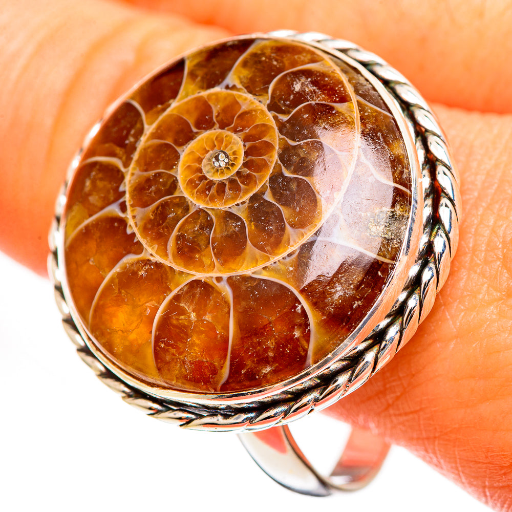 Ammonite Fossil Rings handcrafted by Ana Silver Co - RING111276