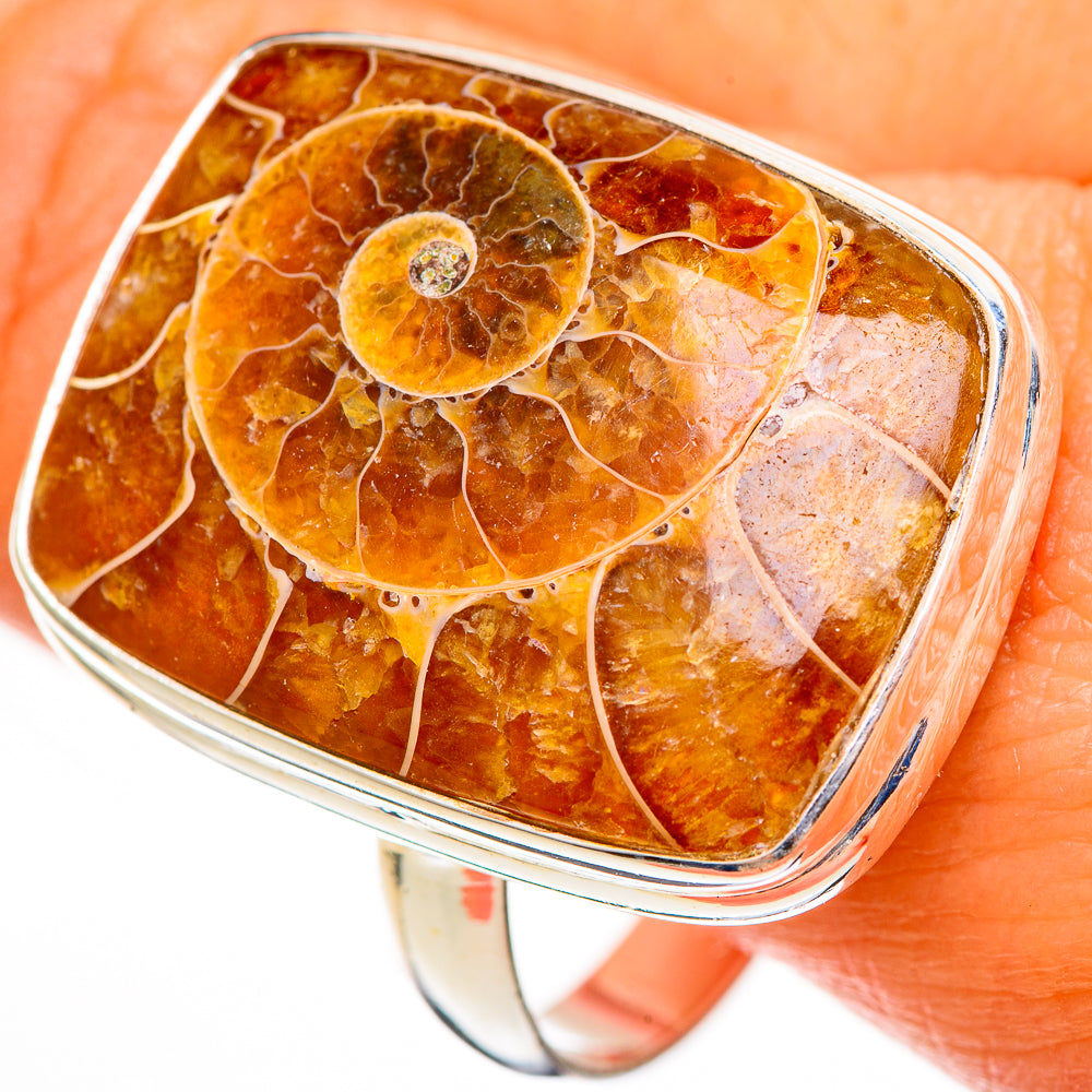 Ammonite Fossil Rings handcrafted by Ana Silver Co - RING111325
