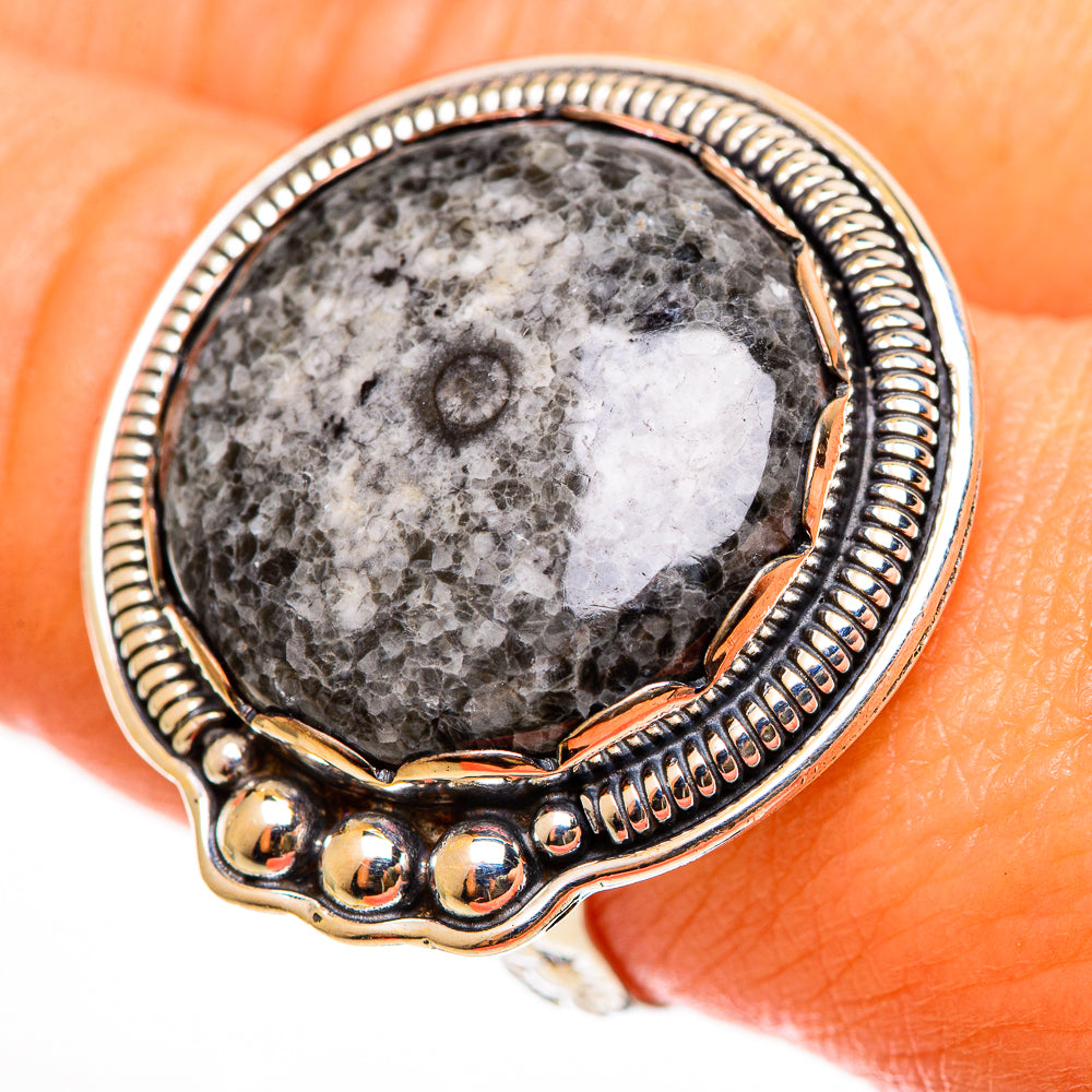 Moroccan Goniatite Fossil Rings handcrafted by Ana Silver Co - RING112385