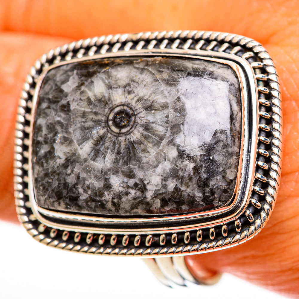 Moroccan Goniatite Fossil Rings handcrafted by Ana Silver Co - RING112899