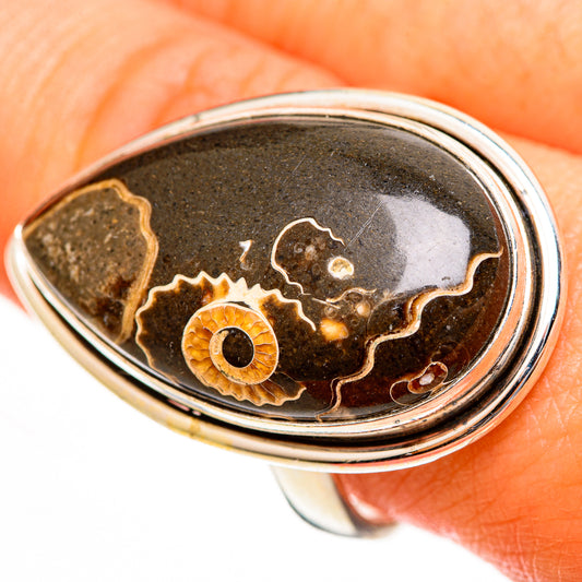 Turritella Agate Rings handcrafted by Ana Silver Co - RING113674
