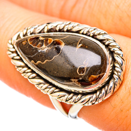 Turritella Agate Rings handcrafted by Ana Silver Co - RING115682