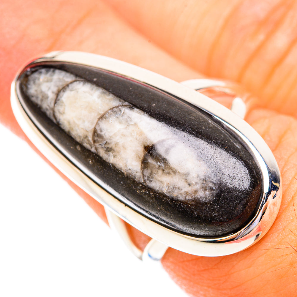 Orthoceras Fossil Rings handcrafted by Ana Silver Co - RING119259