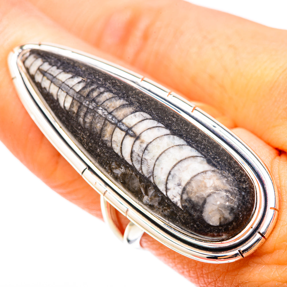 Orthoceras Fossil Rings handcrafted by Ana Silver Co - RING119715