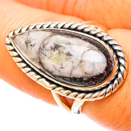 Orthoceras Fossil Rings handcrafted by Ana Silver Co - RING119870