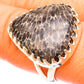 Stingray Coral Rings handcrafted by Ana Silver Co - RING120402