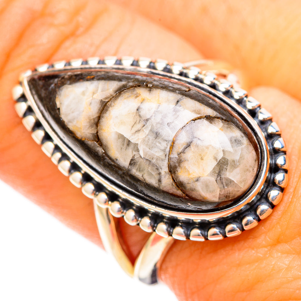 Orthoceras Fossil Rings handcrafted by Ana Silver Co - RING120921